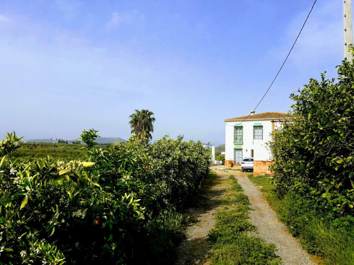 Casa Rural La Estrella Pizarra Eksteriør bilde