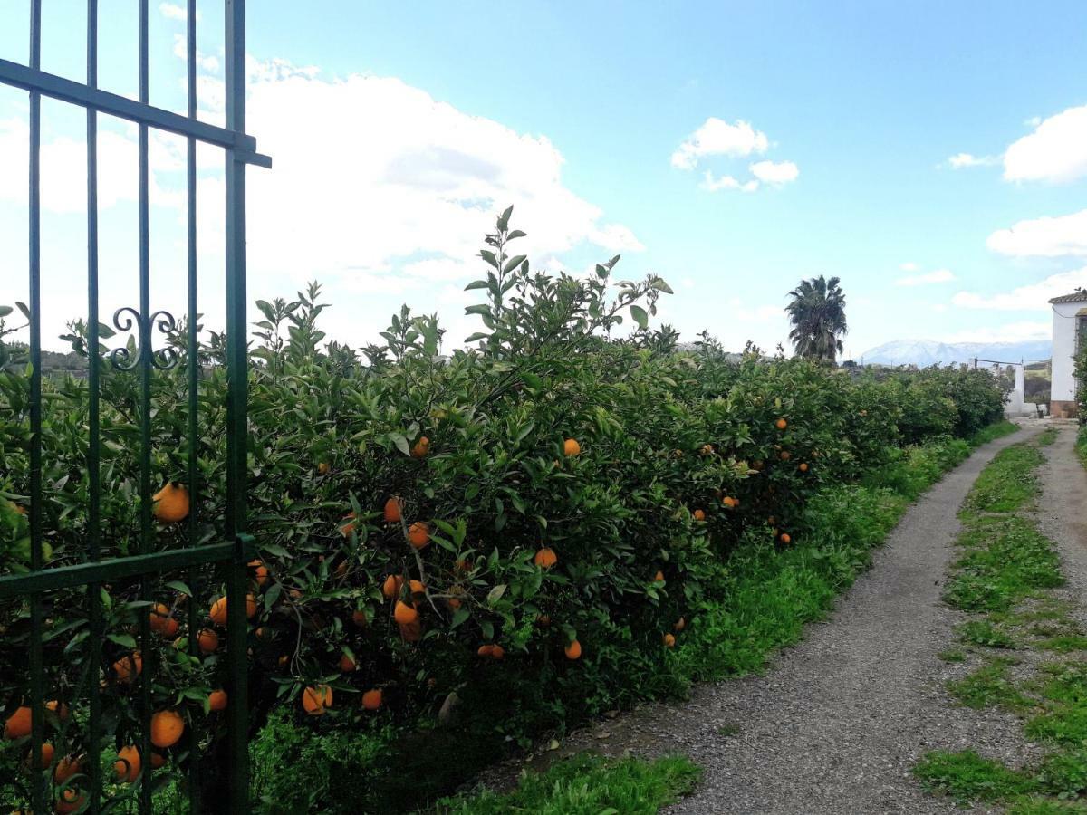 Casa Rural La Estrella Pizarra Eksteriør bilde